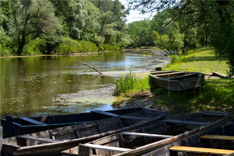 Lonjsko Polje park records three-digit rise in visitor stats