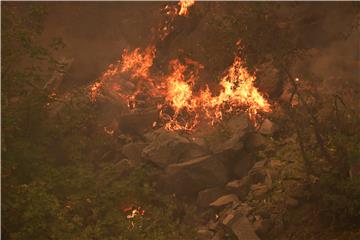 USA NORTHERN CALIFORNIA FIRE