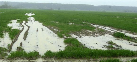 Damage caused by natural disasters in farm sector ytd estimated at €68m