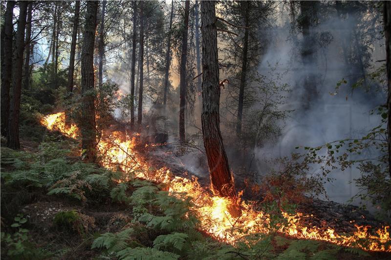 TURKEY WILDFIRES