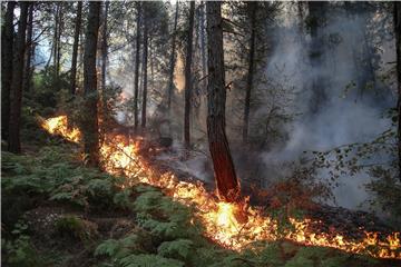 TURKEY WILDFIRES