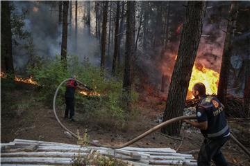 TURKEY WILDFIRES