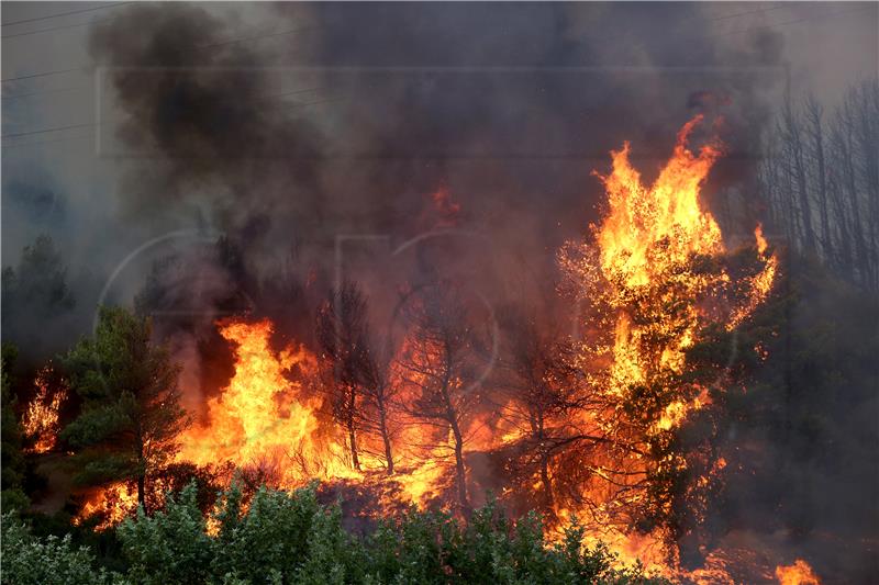 Grčka gori, šumski požari blizu predgrađa Atene