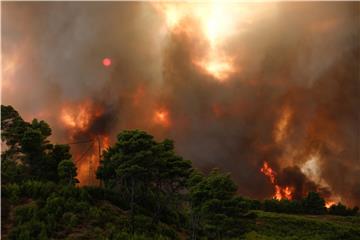 GREECE WILDFIRE