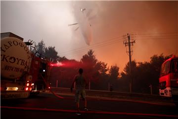 GREECE WILDFIRE