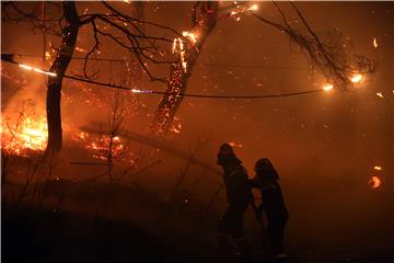 GREECE WILDFIRES