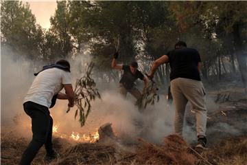 GREECE WILDFIRES