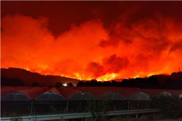 Šesti dan požara u Grčkoj, novi dan pakla za stanovnike otoka Evia