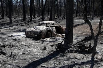 GREECE WILDFIRES AFTERMATH