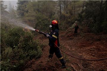 GREECE WILDFIRES