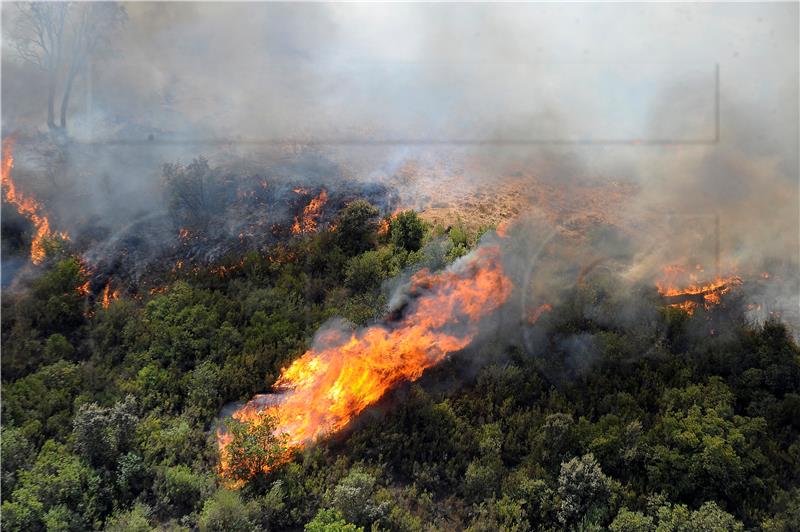 ALGERIA FOREST FIRES