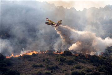 ITALY FOREST FIRE