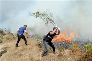 ALGERIA FOREST FIRES