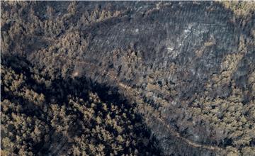 TURKEY PHOTO ESSAY WILDFIRES