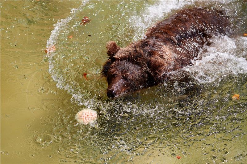 SPAIN HEAT WAVE ANIMALS