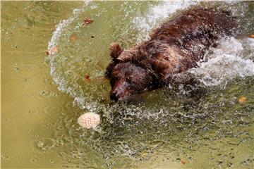 SPAIN HEAT WAVE ANIMALS