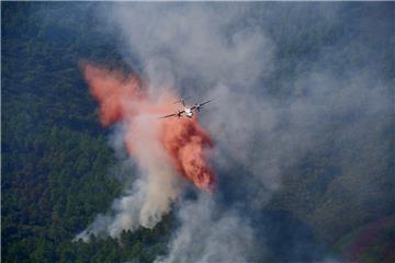 FRANCE FIRE