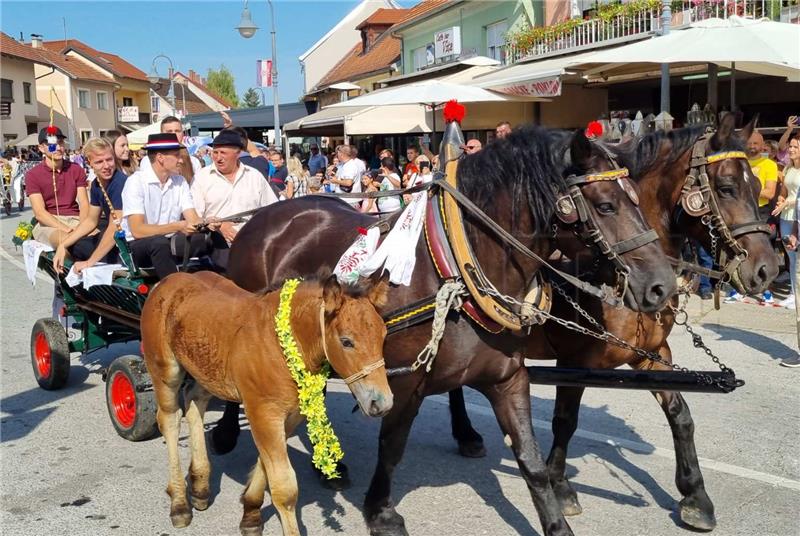 19. vozočašće u marijansko svetište Mariju Bistricu