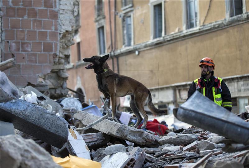 Talijanski vatrogasci spasili psa satima nakon fatalne torinske eksplozije kuće