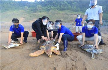 SOUTH KOREA ANIMALS CONSERVATION