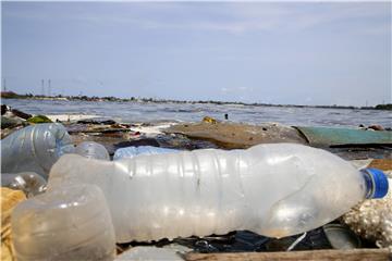 Plastika prijeti migratornim životinjskim vrstama azijsko-pacifičke regije - UN