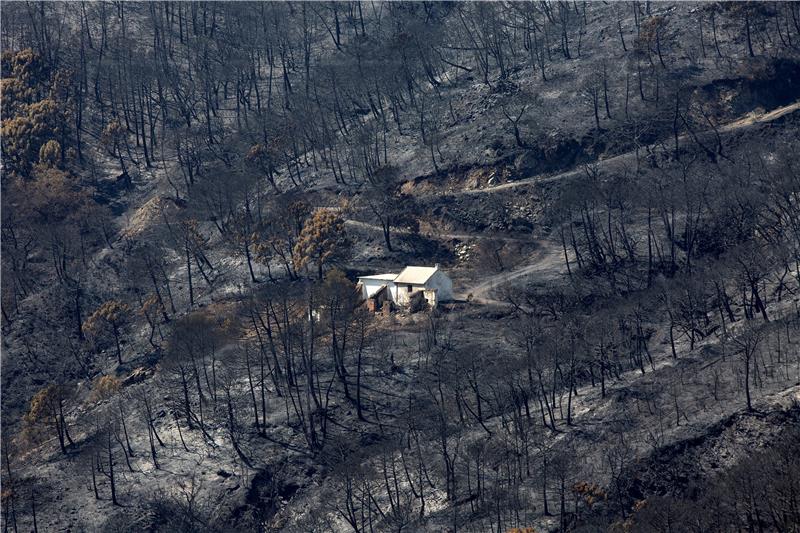 SPAIN FIRES