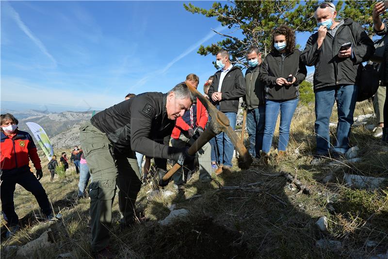 Četvrta Boranka počinje sutra u Žrnovnici i Gornjem Sitnom