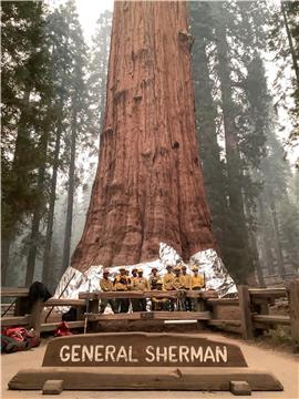 USA FIRE SEQUOIA NATIONAL PARK