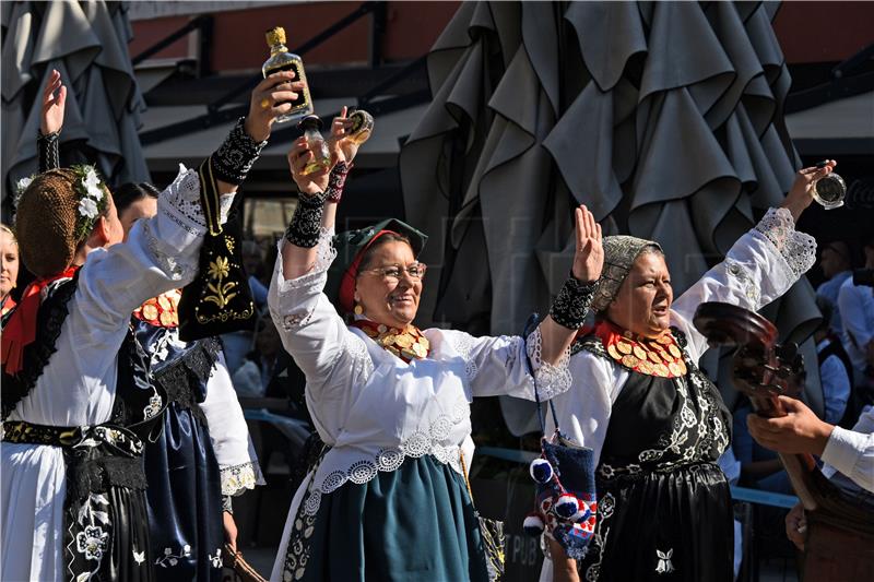 Svečani mimohod 59 KUD-ova 56. Vinkovačkih jeseni