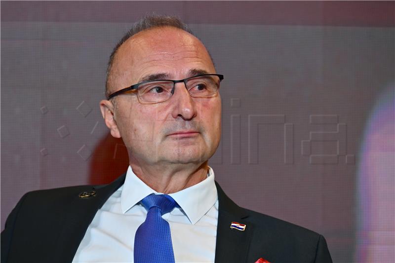 Grlić Radman: Hrvati u SAD-u su naši neformalni promotori