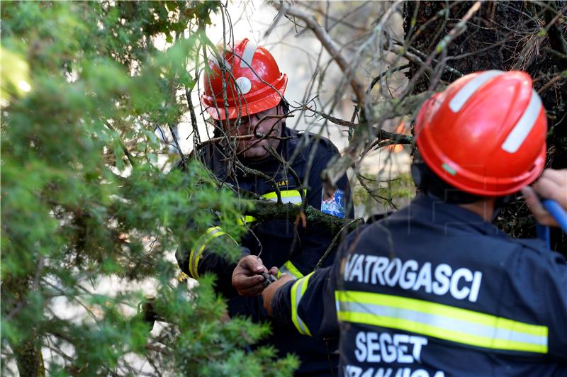 Požar nadomak Senja pod kontrolom, nema opasnosti od širenja