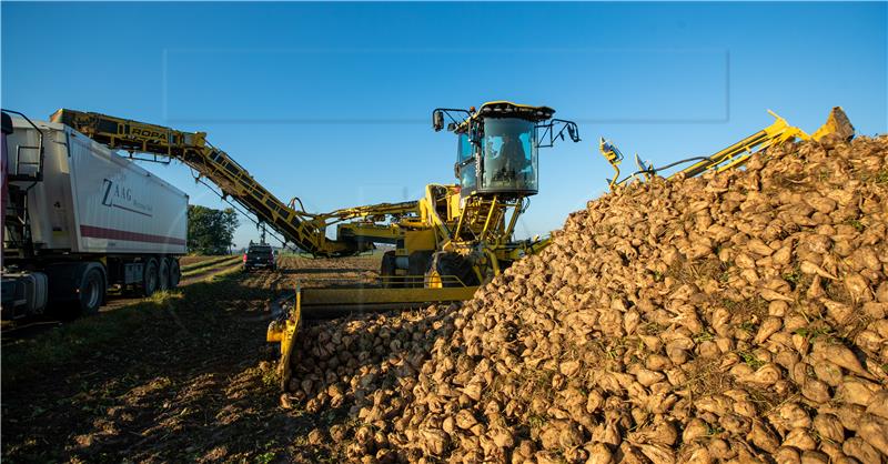 GERMANY AGRICULTURE