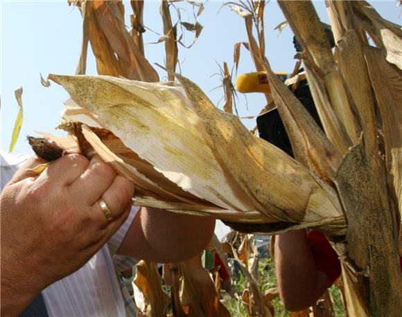 Croatia Osiguranje pays out €1.7m in drought insurance claims