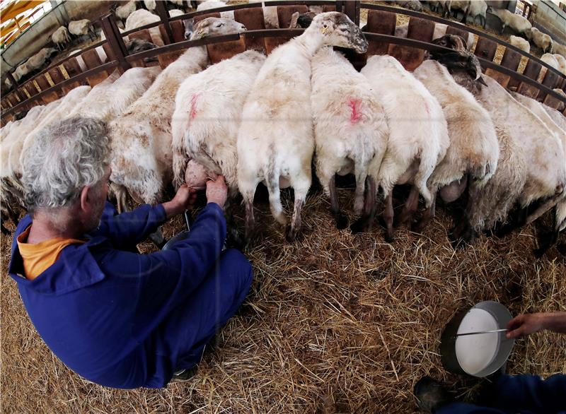 Roquefort dobio slabu nutricionističku ocjenu