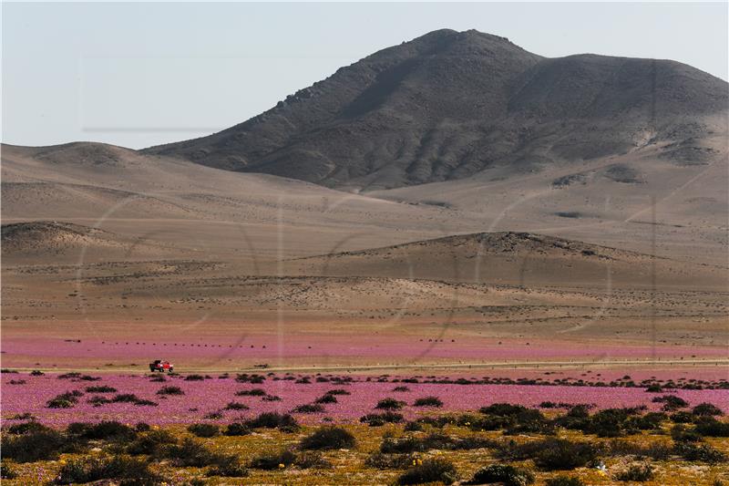 CHILE NATURE