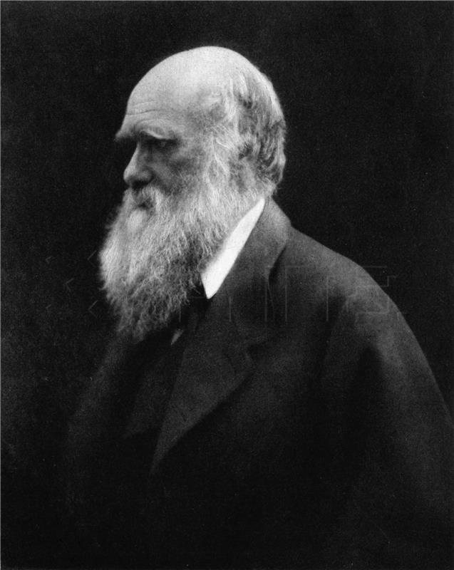 Darwin