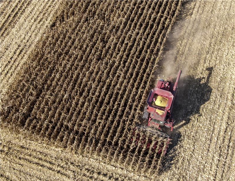 USA ILLINOIS CORN YIELDS