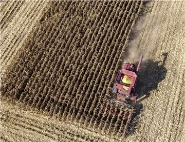 USA ILLINOIS CORN YIELDS