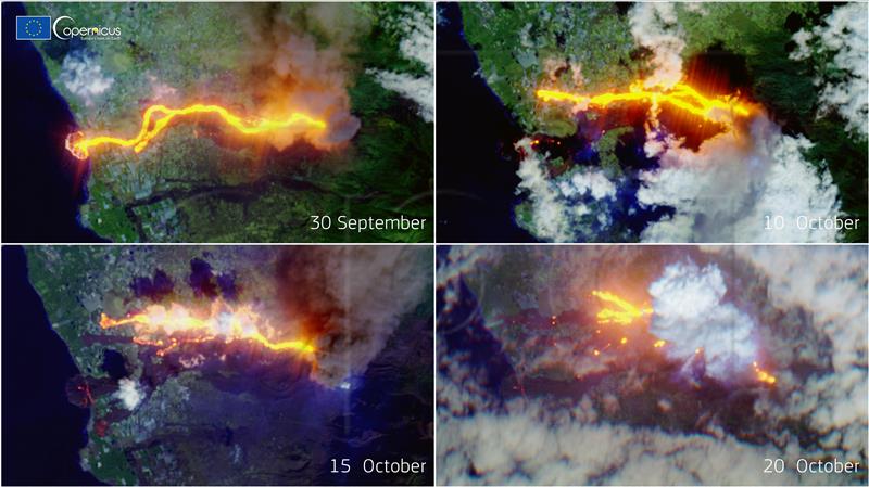 Misteriozni nestanak pasa na vulkanskom otoku La Palmi