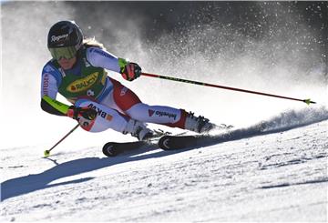 AUSTRIA ALPINE SKIING WORLD CUP