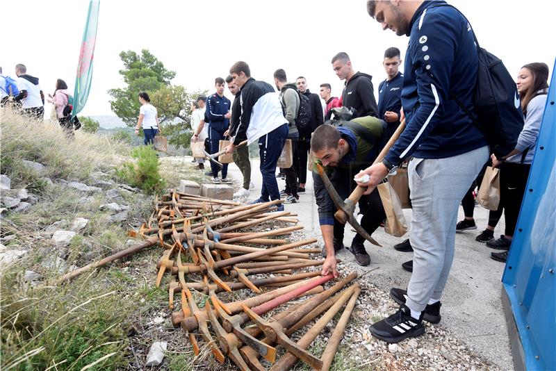 29. Boranka, pošumljavanje Dalmacije na lokaciji Donje Sitno