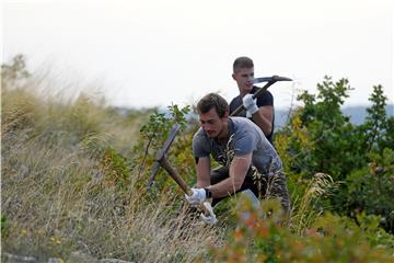 29. Boranka, pošumljavanje Dalmacije na lokaciji Donje Sitno