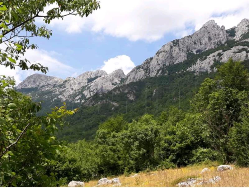 Stočari s krša će zatražiti reviziju odluka o ekstenzivnom uzgoju