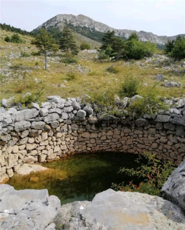 Stočari s krša će zatražiti reviziju odluka o ekstenzivnom uzgoju