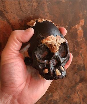 SOUTH AFRICA ARCHEOLOGY FOSSIL