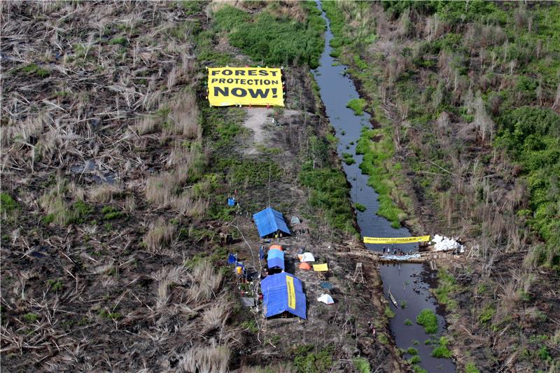 Deforestacija Indonezije izaziva smrtonosne vrućine