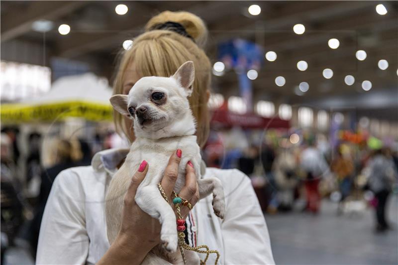 POLAND ANIMALS DOG SHOW