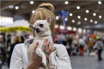 POLAND ANIMALS DOG SHOW