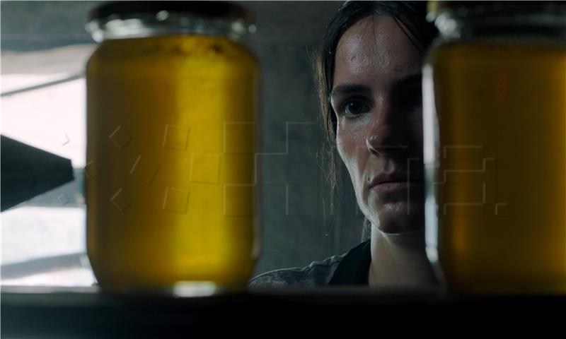 ZFF: Film "Košnica" mijenjao povijest Sundancea, ali i mentalitet patrijarhata