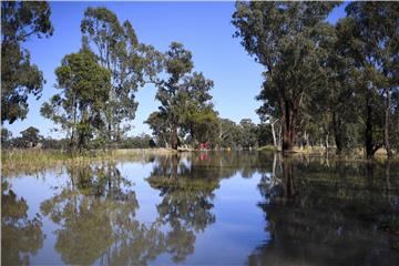 AUSTRALIA FLOOD FORBES